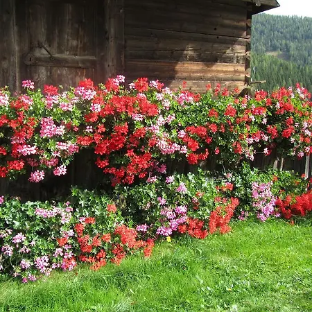 Apartamento Der Hoferbauer Bad Kleinkirchheim